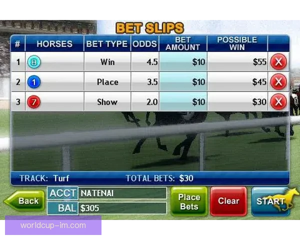 掌握体育赛事走势赢取高额回报的投注技巧揭秘