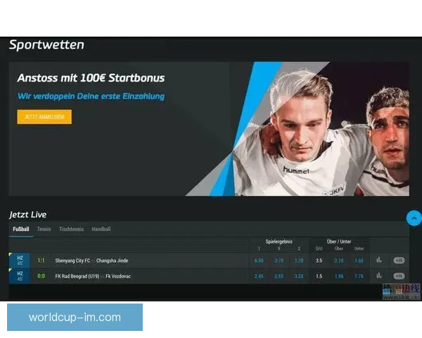 世界杯竞猜胜负技巧深度解析高手常用思路与数据判断方法指南